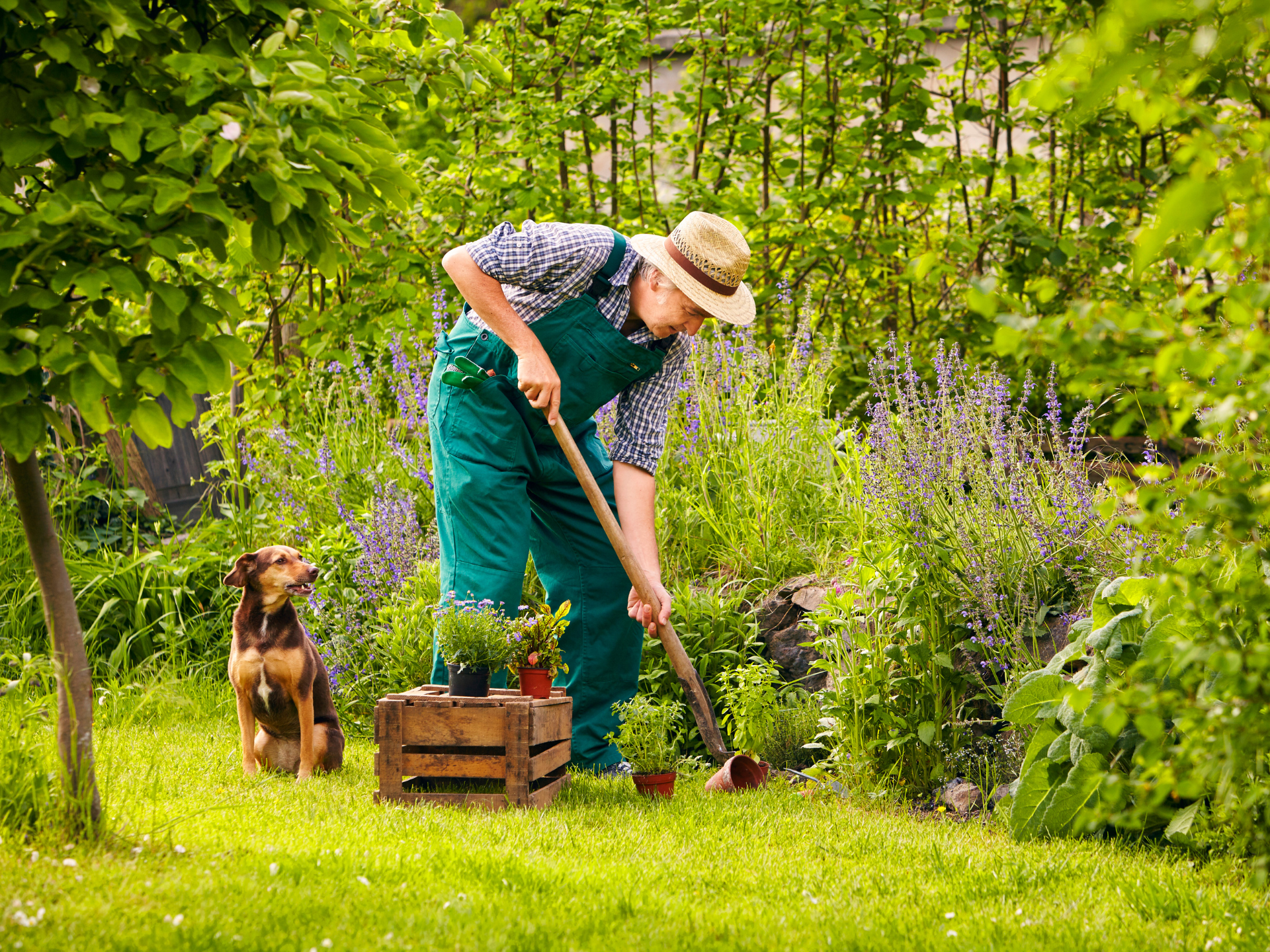 Gardening